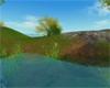 Silkroad online (SRO)